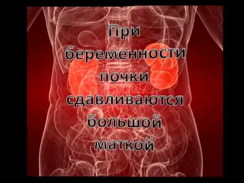 21 тиждень вагітності хлопчик