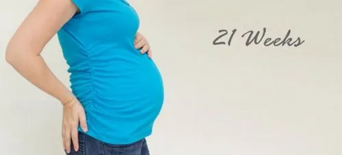22 тиждень вагітності який це місяць