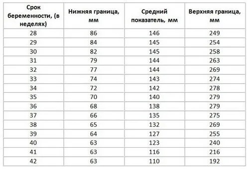 розшифровка узі при вагітності 3 триместр