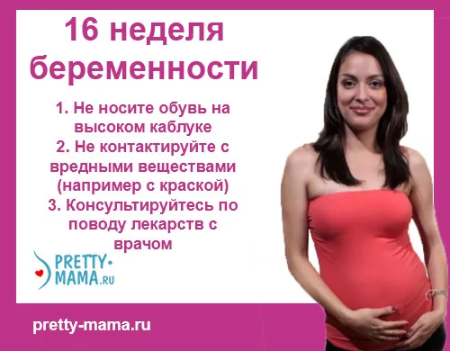 вагітність 16 тижнів харчування вагітність 16 тижнів харчування