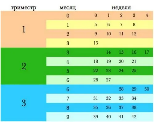 30 тиждень вагітності місяць