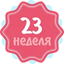 23 тижні вагітності