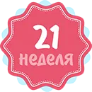 21 тиждень вагітності фото животиків