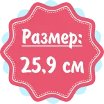 21 тиждень вагітності фото животиків