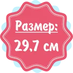 23 тижні вагітності