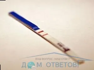 тест