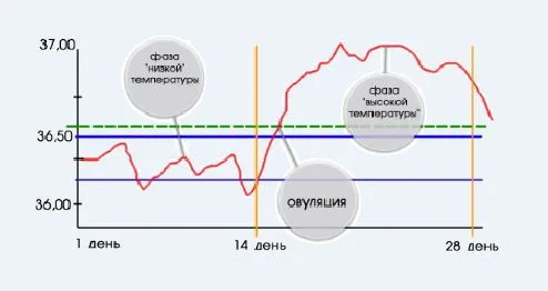 щоб не завагітніти після пологів щоб не завагітніти після пологів