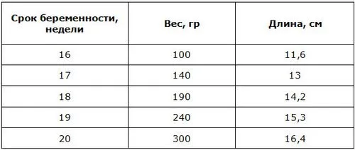 узі на 20 тижні вагітності норми