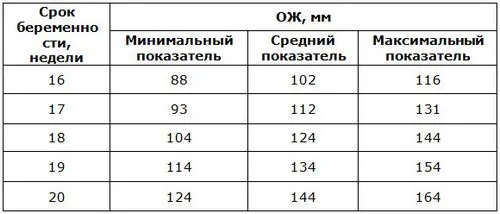 узі на 20 тижні вагітності норми