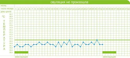 базальна температура графіки з розшифровкою