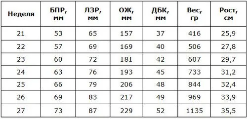 фетометрія плода таблиця по тижнях що це таке норма розшифровка показників