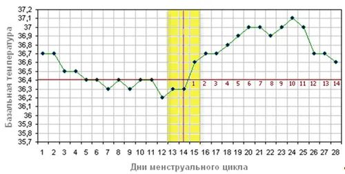 графік базальної температури при вагітності