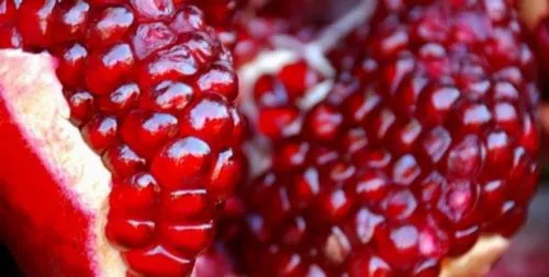 чи можна вагітним гранат і які корисні властивості і вітаміни в ньому містяться, ніж корисна гарбуз для вагітних і в яких колличествах можна її є ?, чи можна вагітним диню і чим вона корисна ?, чи можна вагітним гриби: Жерен, варені, солоні ?, що не можна їсти вагітним: список що не приносять користь продуктів, зразкове меню вагітної на кожен день: рекомендації фахівців, чи можна вагітним мед з молоком, чаєм і в чистому вигляді, чи можна вагітним горіхи: волоські, кедрові, кеш'ю та інші, чи можна кавун вагітним і корисний він при вагітності? ніж корисна гарбуз для вагітних і в яких колличествах можна її є ?