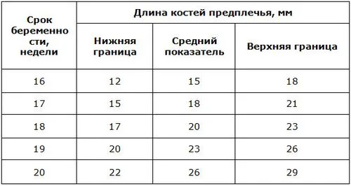 фетометрія плода таблиця по тижнях що це таке норма розшифровка показників
