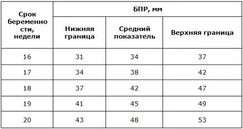 узі на 20 тижні вагітності норми