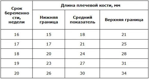 фетометрія плода таблиця по тижнях що це таке норма розшифровка показників