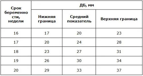 фетометрія плода таблиця по тижнях що це таке норма розшифровка показників