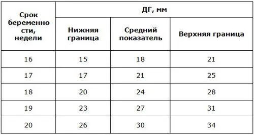 узі на 20 тижні вагітності норми
