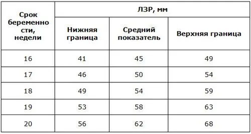 фетометрія плода таблиця по тижнях що це таке норма розшифровка показників