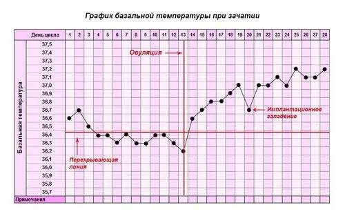графік базальної температури з прикладами