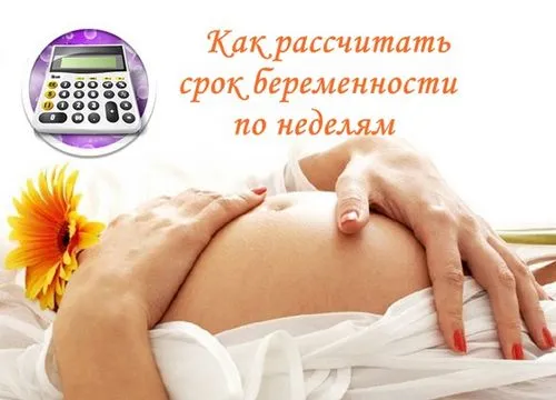 як розрахувати свою вагітність