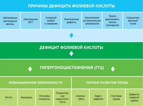фолієва кислота при плануванні вагітності доза