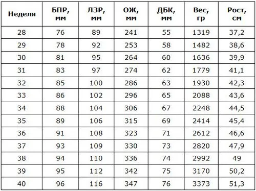 фетометрія плода таблиця по тижнях що це таке норма розшифровка показників