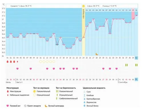 графік базальної температури з прикладами