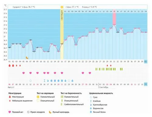 базальна температура графіки з розшифровкою