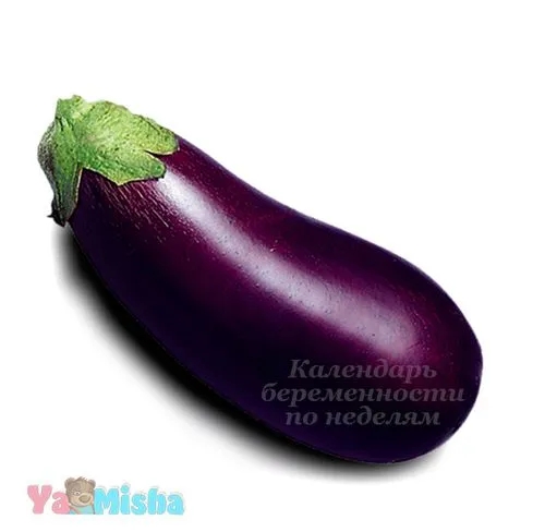 23 тижні вагітності