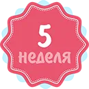 все про вагітність 5 тиждень все про вагітність 5 тиждень