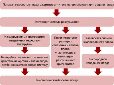 мінусова група крові і вагітність