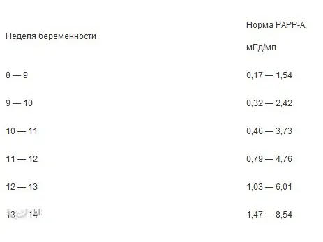 перший скринінг вагітності норми
