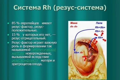 мінусова група крові і вагітність