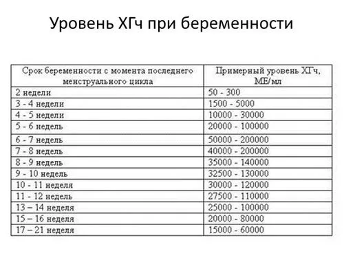 перший скринінг вагітності норми