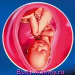 вагітність 34 35 тижнів