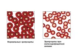 перший по підлозі