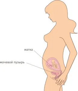 пологи на 23 тижні вагітності пологи на 23 тижні вагітності