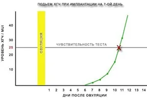 аналіз на вагітність ХГ