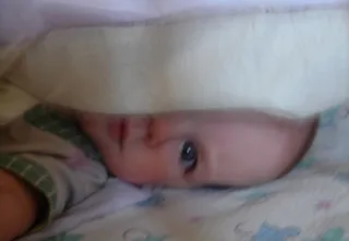 аборт будинку
