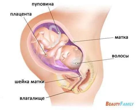виділення під час вагітності на 37 тижні