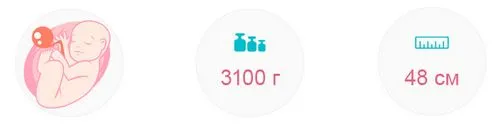 38 тижнів вага дитини
