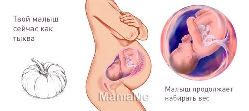 почалася 41 тиждень вагітності