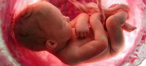 вагітність 5 місяців вагітність 5 місяців