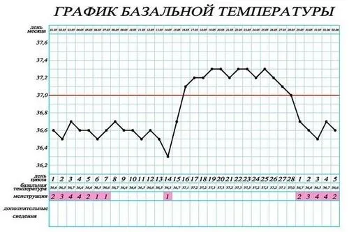 яка повинна бути базальна температура у вагітних