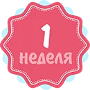все про перший тиждень вагітності все про перший тиждень вагітності