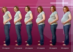 розвиток вагітності по місяцях, розвиток плода по місяцях, відео розвиток вагітності по місяцях