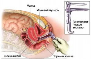 визначення вагітності гінекологом