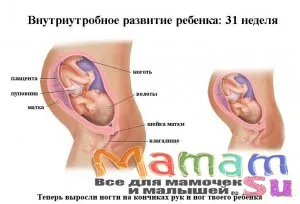 коли можна почути перші рухи при вагітності