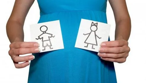 узі вагітних стать дитини